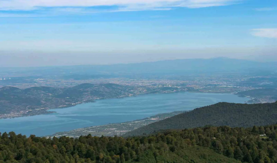Sakarya Büyükşehir Belediye Başkanı Yusuf Alemdar, Cumhurbaşkanı Recep Tayyip Erdoğan’la