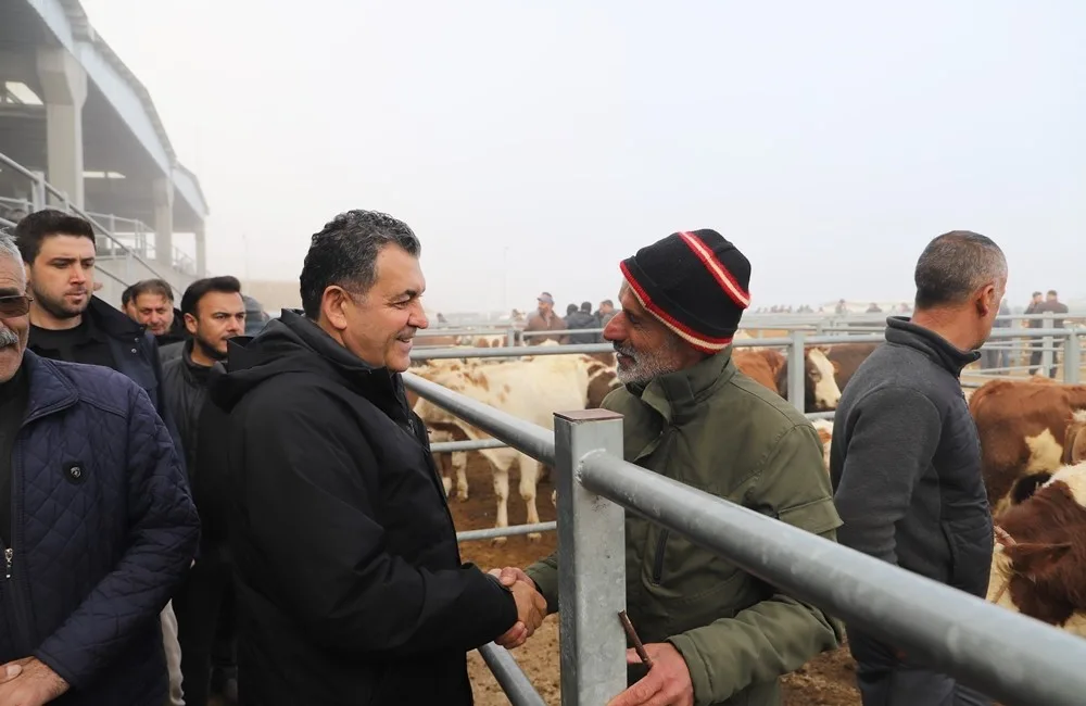 ŞAP hastalığı nedeniyle uzun süre kapalı kalan Ardahan hayvan pazarında