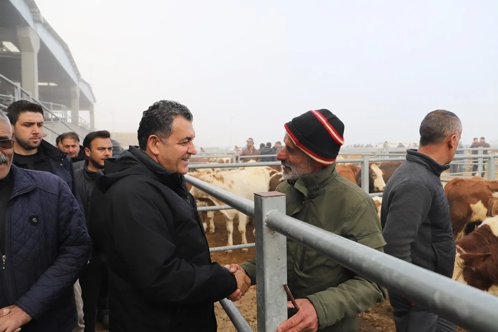 ŞAP hastalığı nedeniyle uzun süre kapalı kalan Ardahan hayvan pazarında