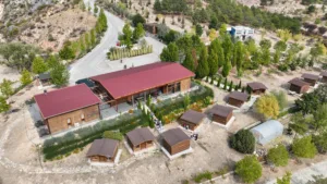 Konya’nın merkez Selçuklu İlçe Belediye Başkanı Ahmet Pekyatırmacı, Selçuklu Sanat,