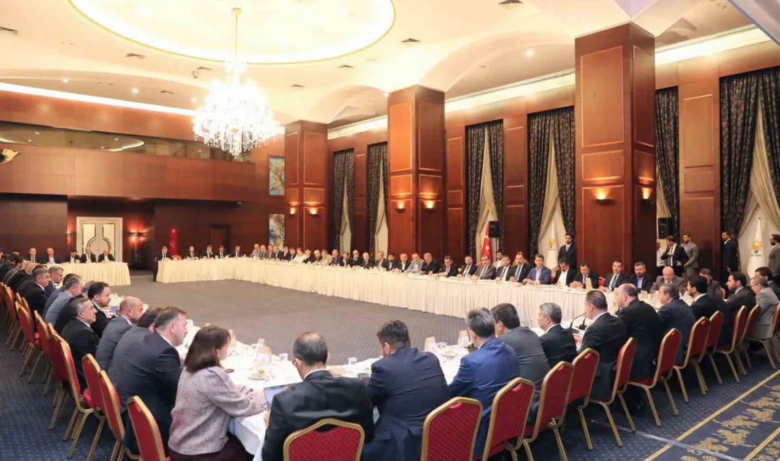 AK Parti Bilecik İl Başkanı Serkan Yıldırım, AK Parti Genel