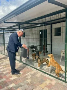 Sultanhisar Belediyesi’nin hizmete kazandırdığı modern hayvan barınağında, sokakta yaşayan can