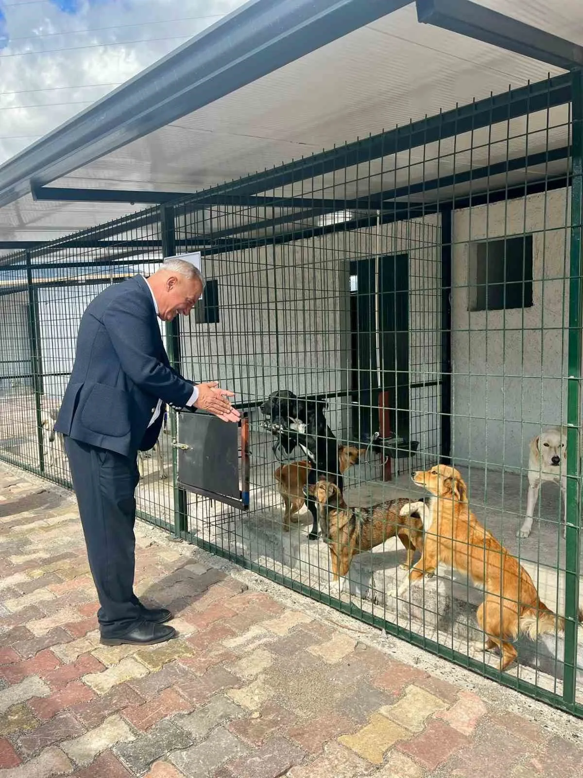 Sultanhisar Belediyesi’nin hizmete kazandırdığı modern hayvan barınağında, sokakta yaşayan can