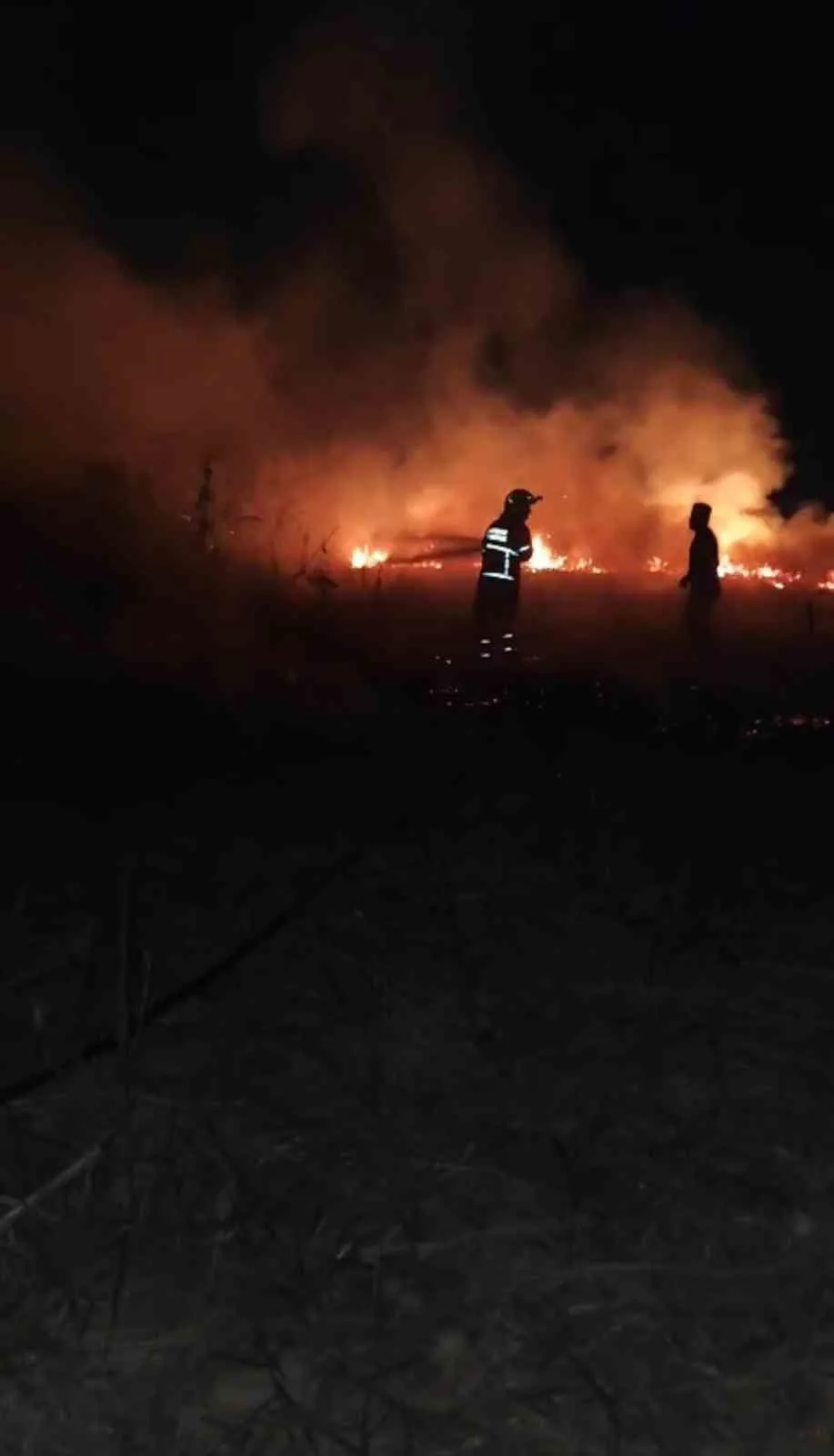 Batman merkeze bağlı Diktepe köyünde çıkan anız yangını, itfaiye ekiplerinin