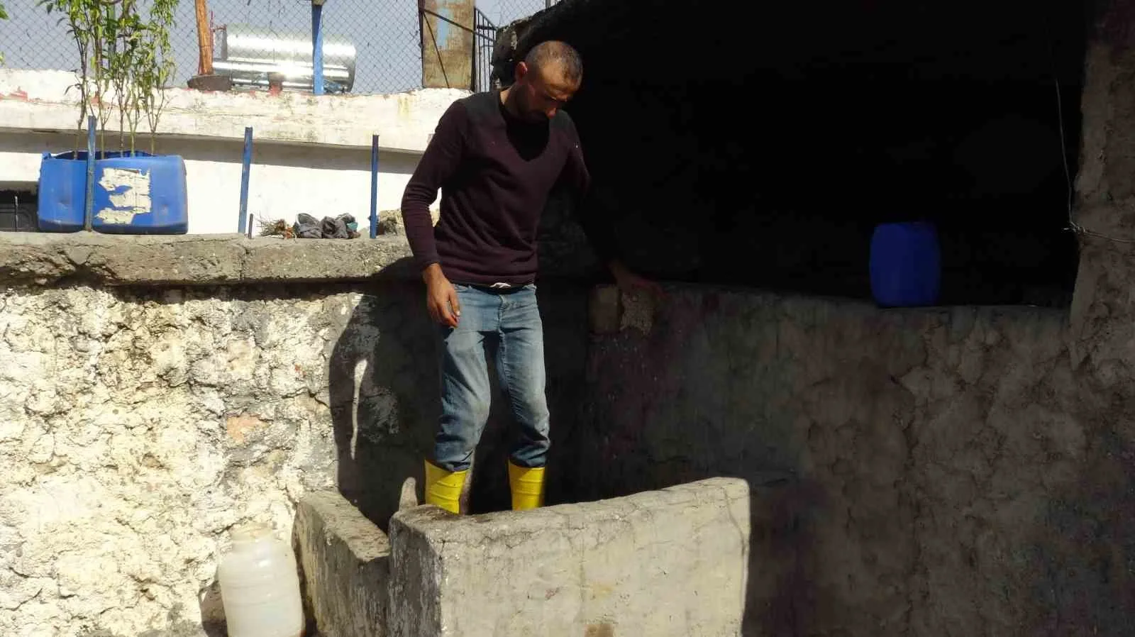 Batman’ın Gercüş ilçesinde bağbozumu heyecanı başladı. İlçede vatandaşlar bağbozumu ile