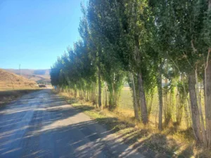 Bayburt merkeze bağlı Aksaçlı köyü sakinlerinden Kadir Kekeç, Devlet Su