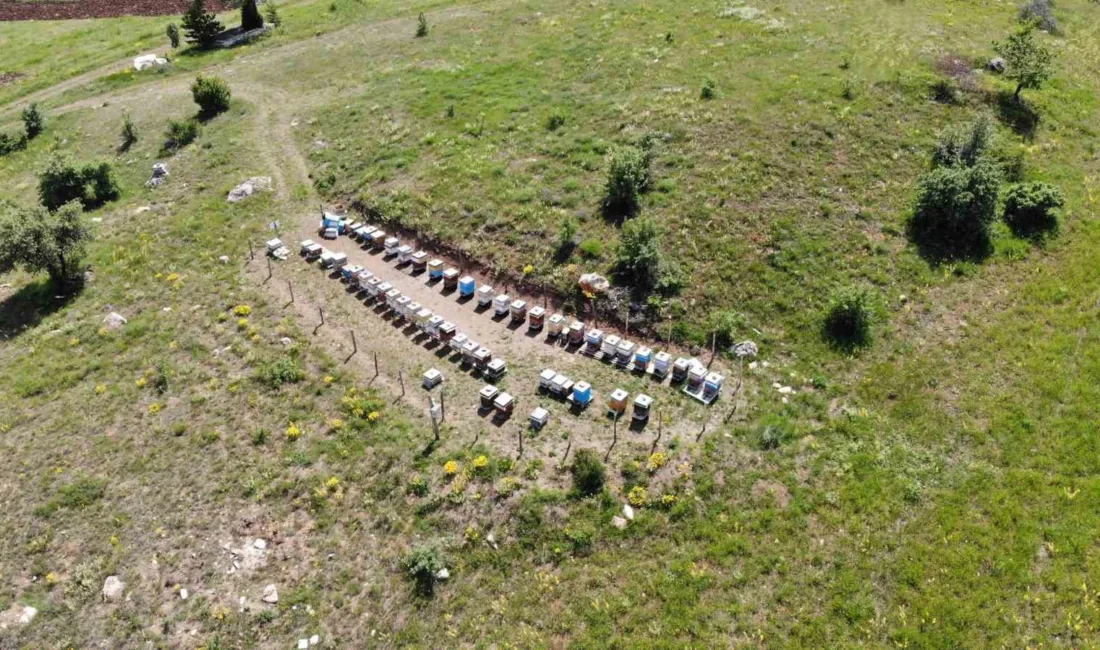 2025 yılı kovan destekleme başvuruları başladı. Başvurular, 7 Kasım tarihine