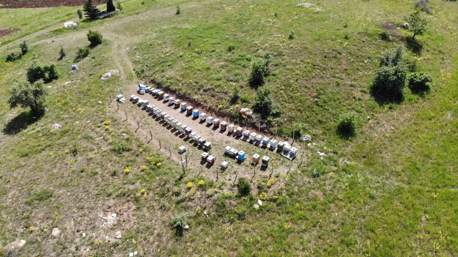 2025 yılı kovan destekleme başvuruları başladı. Başvurular, 7 Kasım tarihine