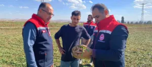 Bayburt’ta şeker pancarı hasadı başladı. Tomlacık köyünde üreticilerle bir araya