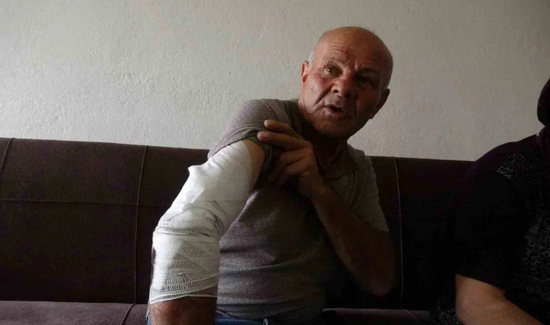 Burdur’da taksicilik yapan adam gece beslemek istediği sokak köpeğinin saldırısına