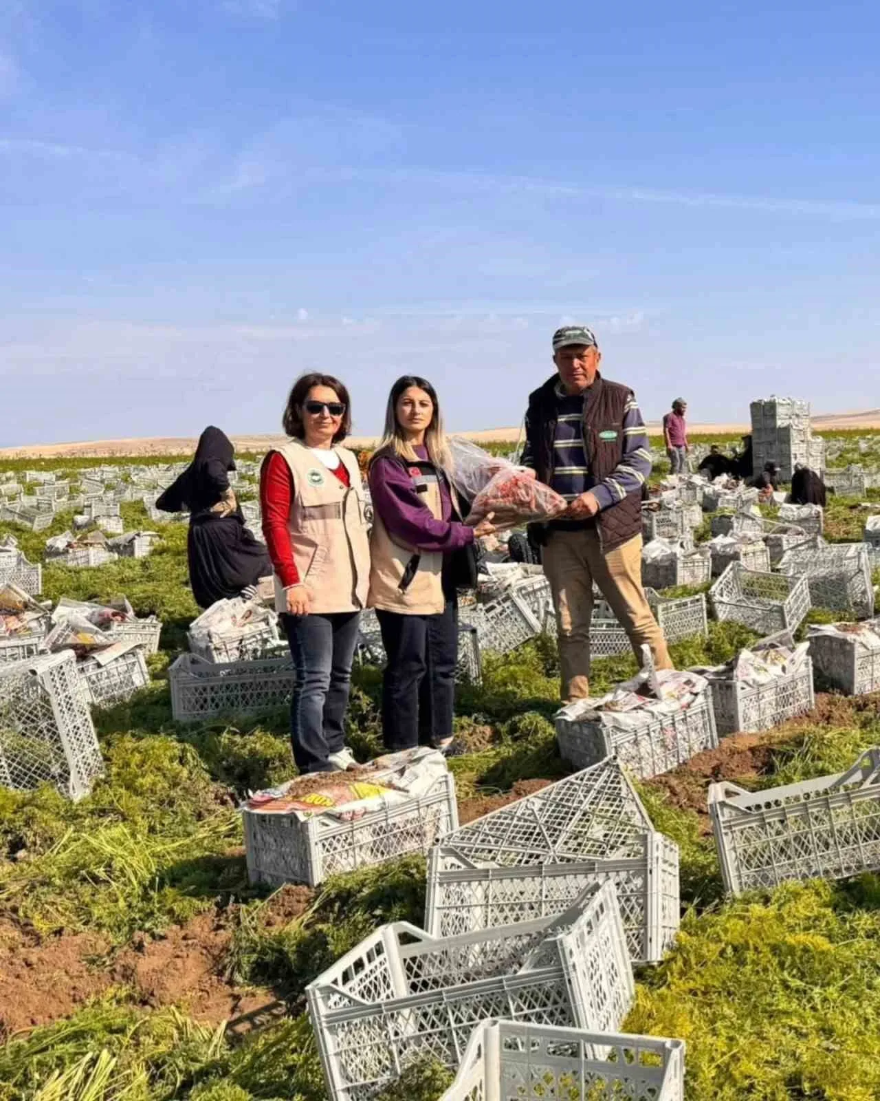Beypazarı İlçe Tarım ve Orman Müdürlüğü, gıda güvenliği ve halk