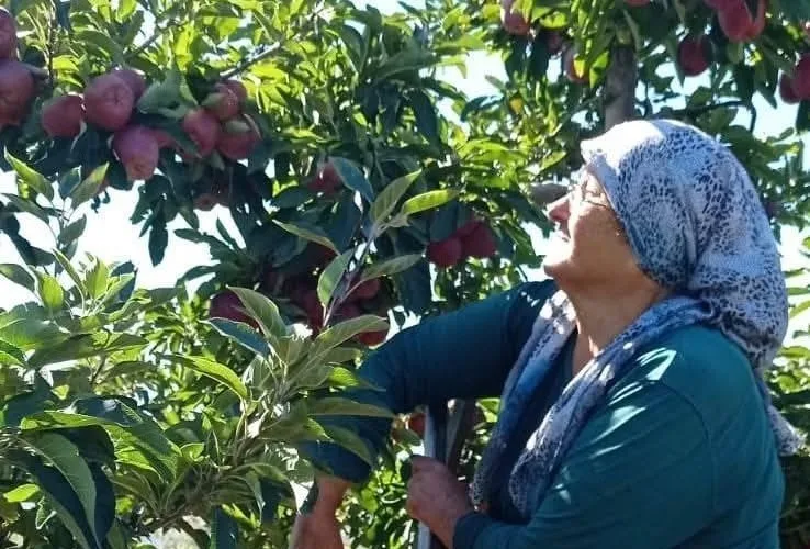 Konya’nın Beyşehir ilçesinin elma deposu olarak nitelendirilen Gölyaka Mahallesinde güz