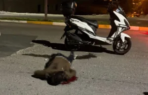 Şanlıurfa’da bıçaklı saldırıya uğrayan 32 yaşındaki genç, sırtındaki bıçakla motosikletine