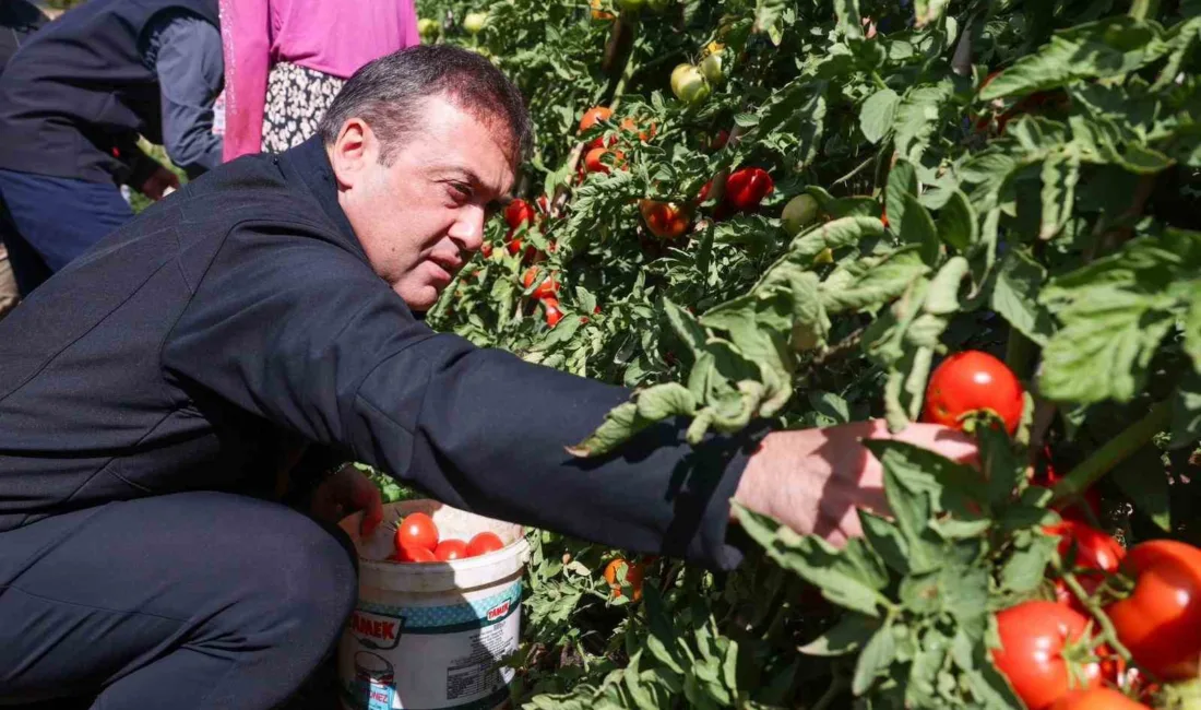 Bilecik Valisi Faik Oktay Sözer, il genelinde 14 bin 400