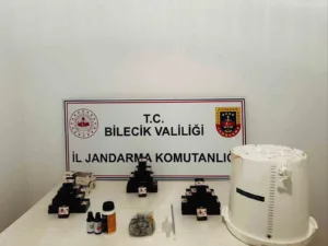 Bilecik’in Söğüt ilçesinde jandarma ekiplerince düzenlenen operasyonda çok sayıda kaçak