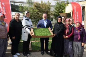 Bilecik’in Söğüt ilçesine bağlı Borcak Köyü’nde ‘Marul fidesi dağıtım programı’