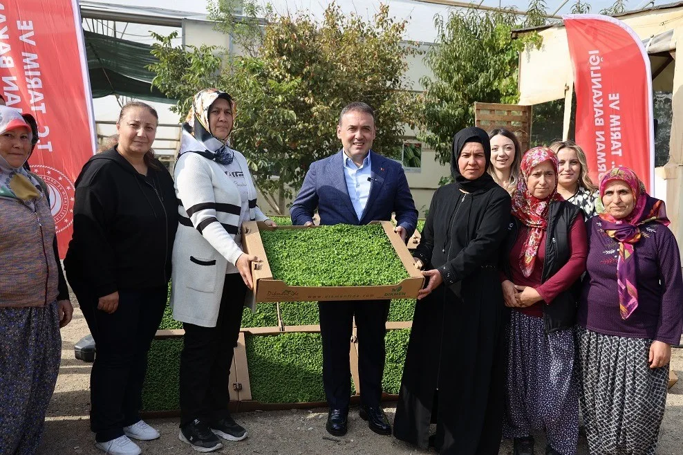 Bilecik’in Söğüt ilçesine bağlı Borcak Köyü’nde ‘Marul fidesi dağıtım programı’