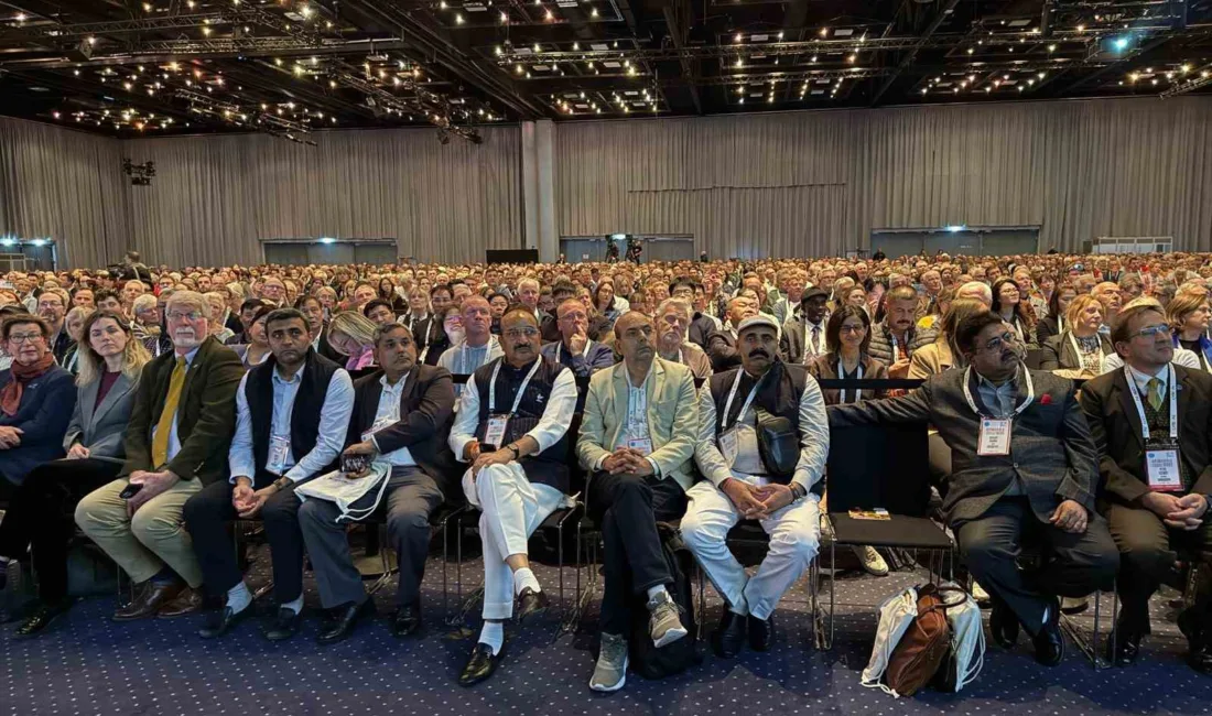 Düzce Üniversitesi Arıcılık Araştırma Geliştirme ve Uygulama Merkezi (DAGEM) Müdürü