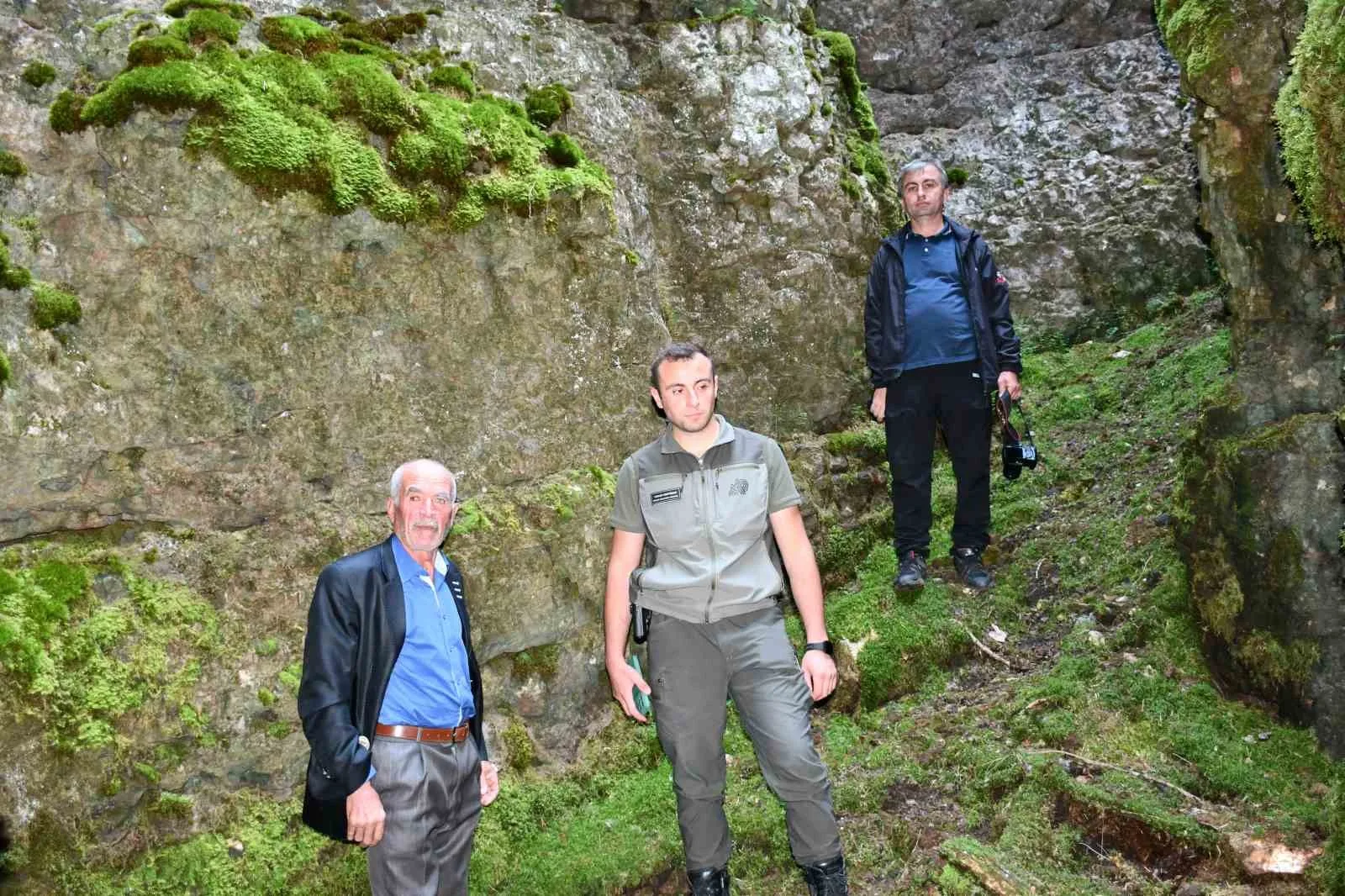 Kastamonu’nun Araç ilçesinde bulunan Soğucaova Yaylası sınırlarında yer alan bin