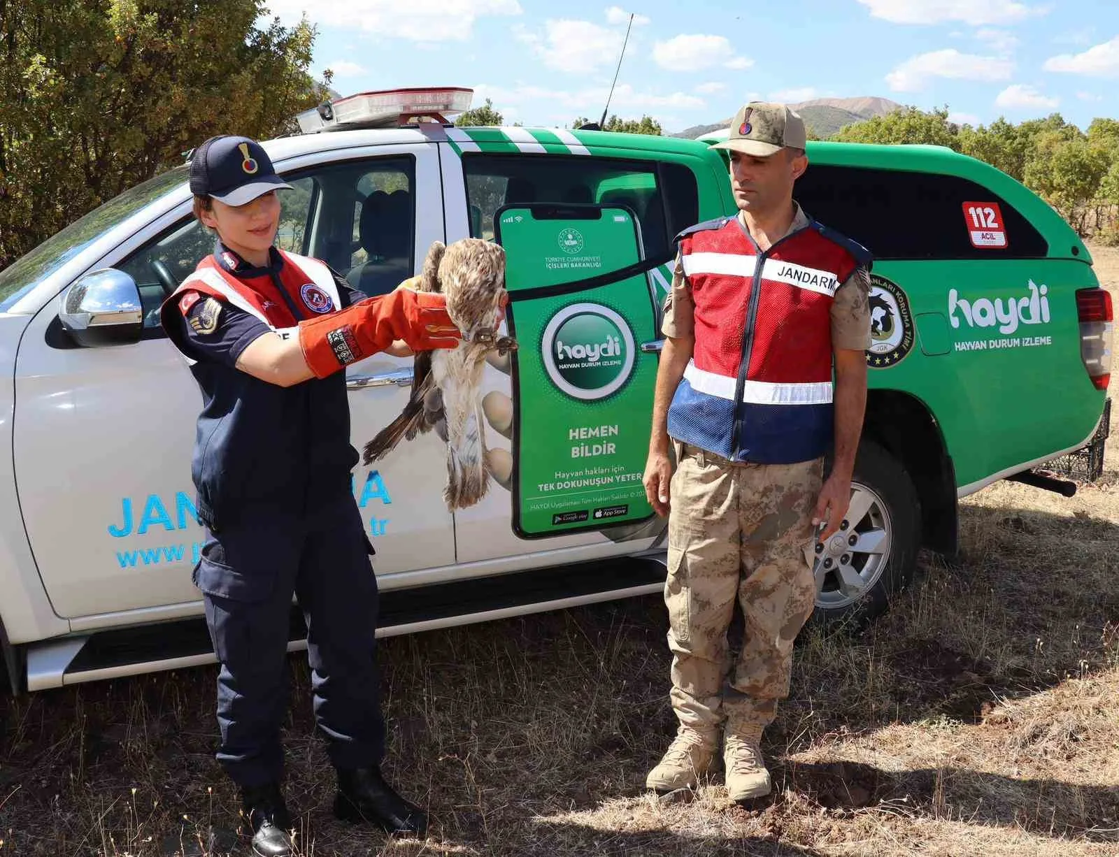Bingöl’de jandarma tarafından bulunan yaralı kartal, tedavi altına alındı. Edinilen