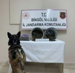 Bingöl’de jandarma ekipleri tarafından yapılan çalışmada 2 kilo 174 gram