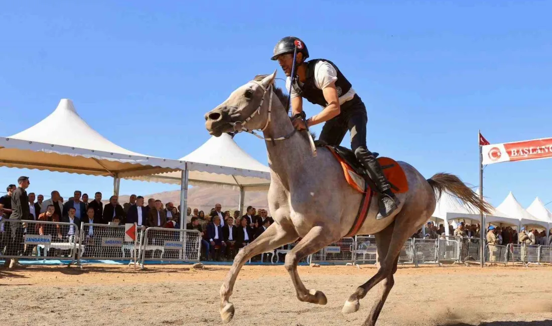 Bingöl’ün Karlıova ilçesinde düzenlenen at yarışları renkli görüntüler oluşturdu. Bingöl’ün