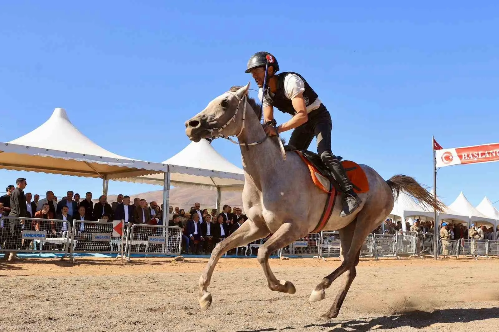 Bingöl’ün Karlıova ilçesinde düzenlenen at yarışları renkli görüntüler oluşturdu. Bingöl’ün
