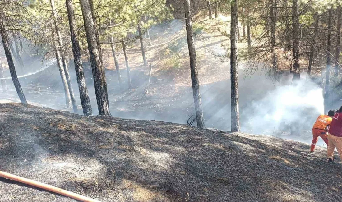 Bingöl’ün Genç ilçesinde çıkan orman yangını, ekiplerin hızlı müdahalesiyle büyümeden