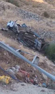 Bingöl’de yola çıkan ata çarpmamak için sürücüsünün manevra yaptığı canlı