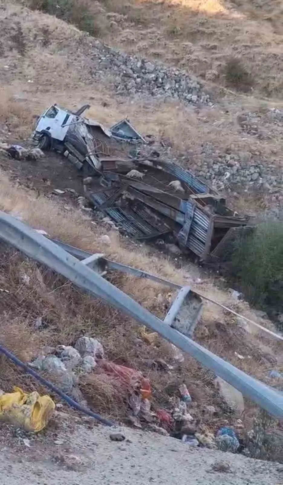 Bingöl’de yola çıkan ata çarpmamak için sürücüsünün manevra yaptığı canlı