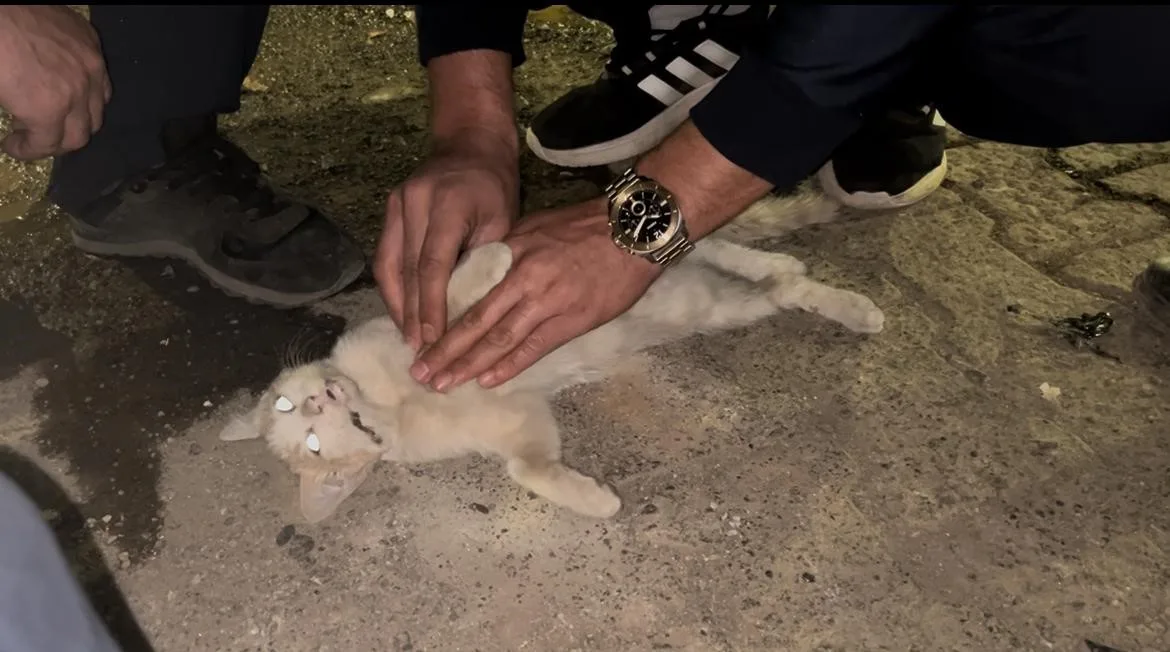 Bingöl’de itfaiye istasyonu önünde akşam saatlerinde meydana gelen olayda, bir