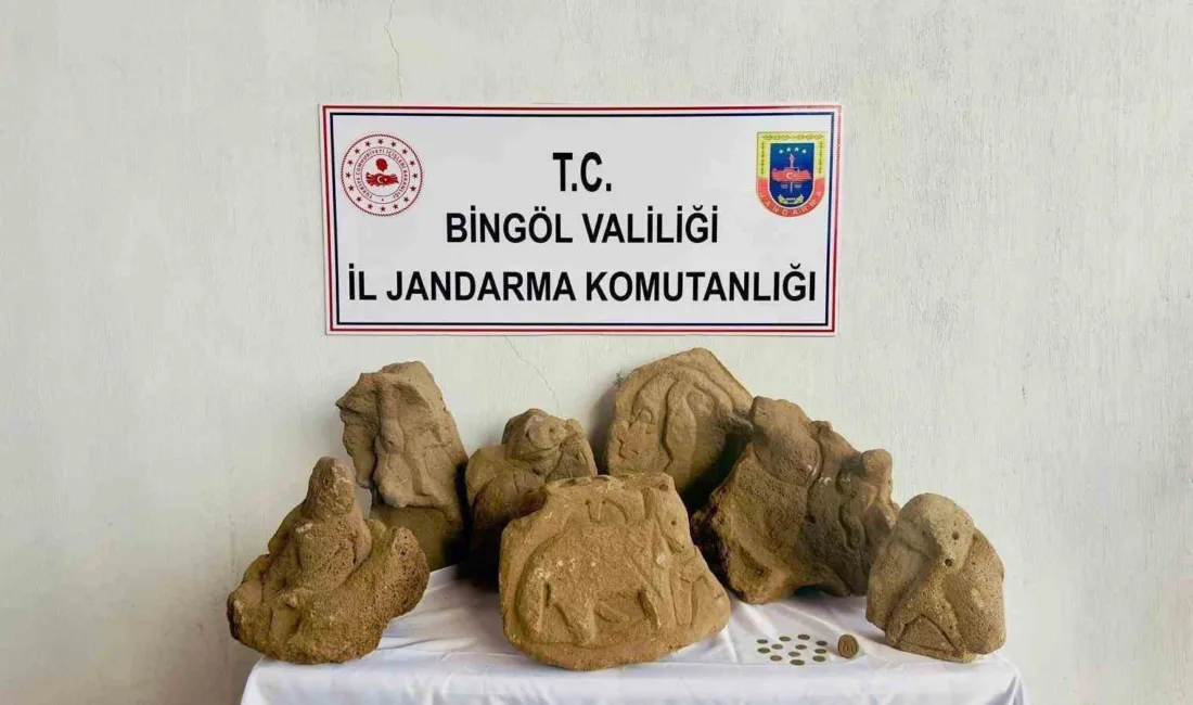 Bingöl’ün Solhan ilçesi kırsalında jandarma ekiplerince düzenlenen operasyonda çeşitli eski