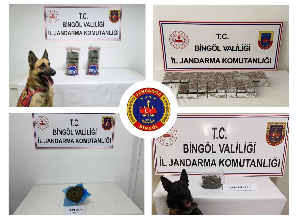 Bingöl’de jandarma tarafından yapılan çalışmada 2 şüpheli tutuklandı. Bingöl İl