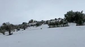 Bingöl’de son günlerde etkili olan soğuk hava dalgasıyla birlikte yüksek