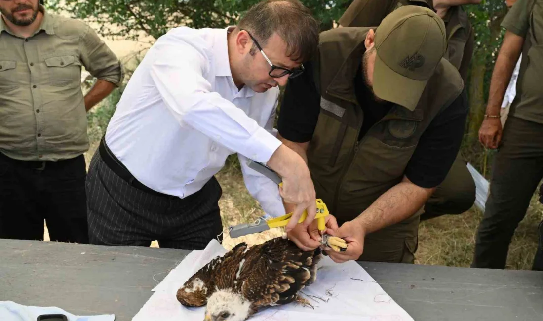 4 Ekim Dünya Hayvanları Koruma Günü vesilesiyle doğadaki dostlarımızın korunmasının