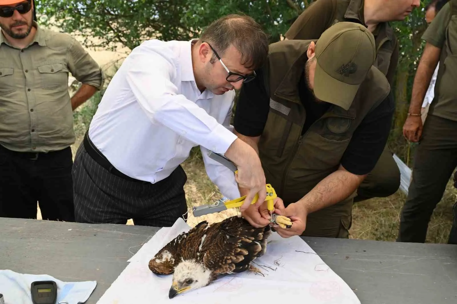 4 Ekim Dünya Hayvanları Koruma Günü vesilesiyle doğadaki dostlarımızın korunmasının