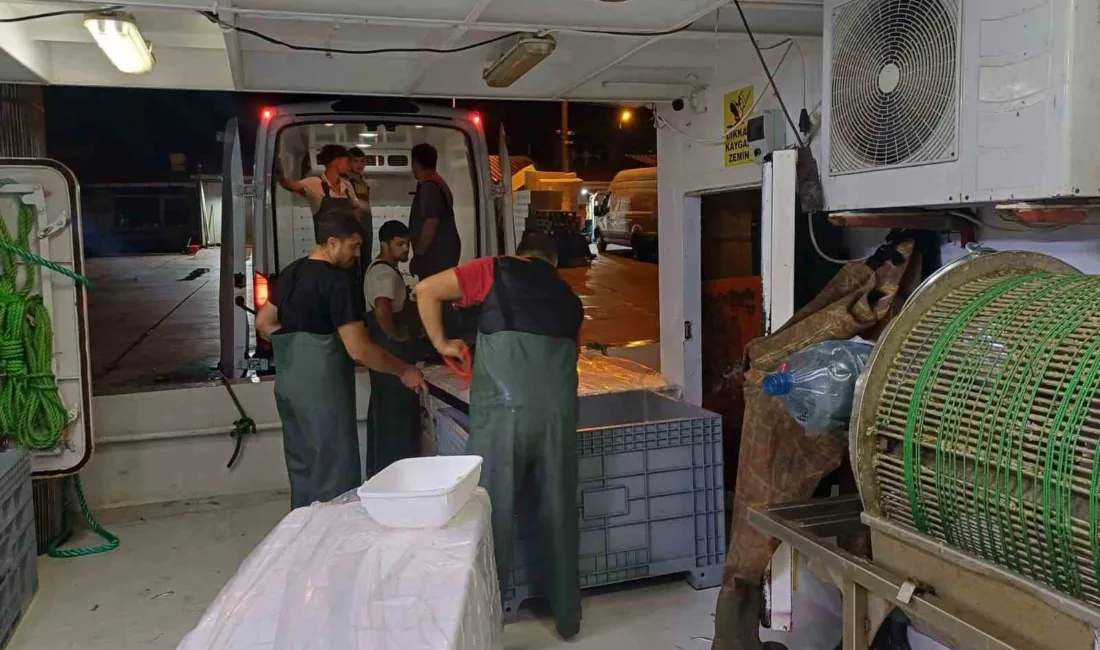 Düzce (İHA) – Düzce’nin Akçakoca ilçesinde balıkçılar Karadeniz’de avlanmaya devam