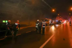 Bitlis İl Afet ve Acil Durum Müdürlüğü (AFAD) koordinesinde 8