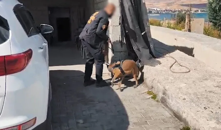 BİTLİS (İHA) – Bitlis’in Tatvan ilçesinde yürütülen çalışmalar sonucunda uyuşturucu