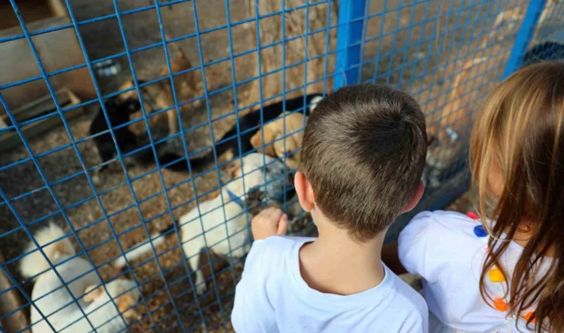 Bodrum Belediyesi, kent genelinde sürdürdüğü etkin kamu hizmetlerinin yanı sıra