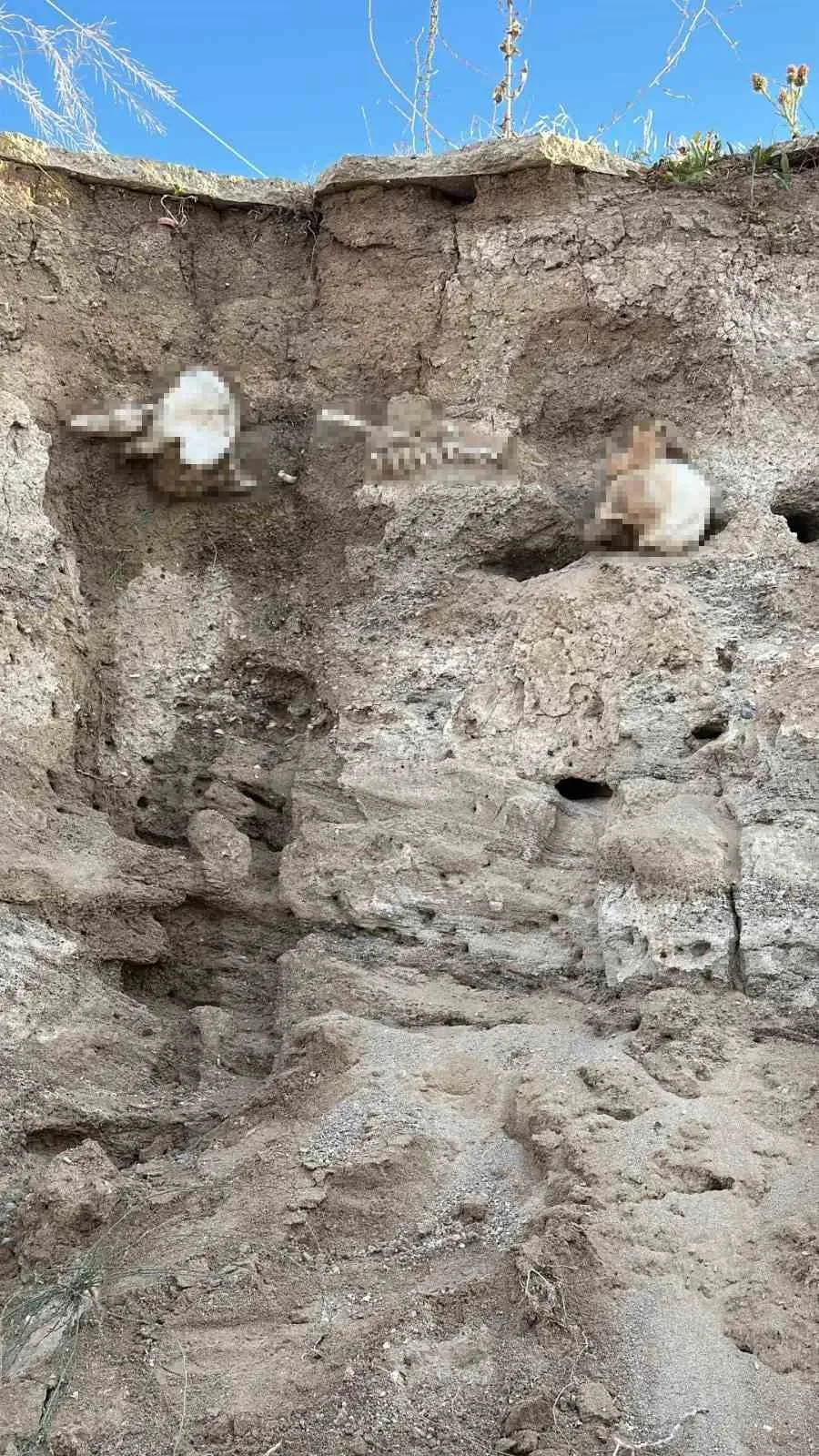 Yozgat’ın Boğazlıyan ilçesinde toprak altından çıkan insan kemikleri incelemeye alındı.