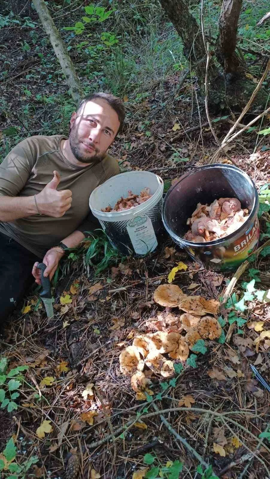 Bolu’da sonbahar yağmurlarıyla birlikte mantar sezonu bereketli başladı. Avdan Köyü