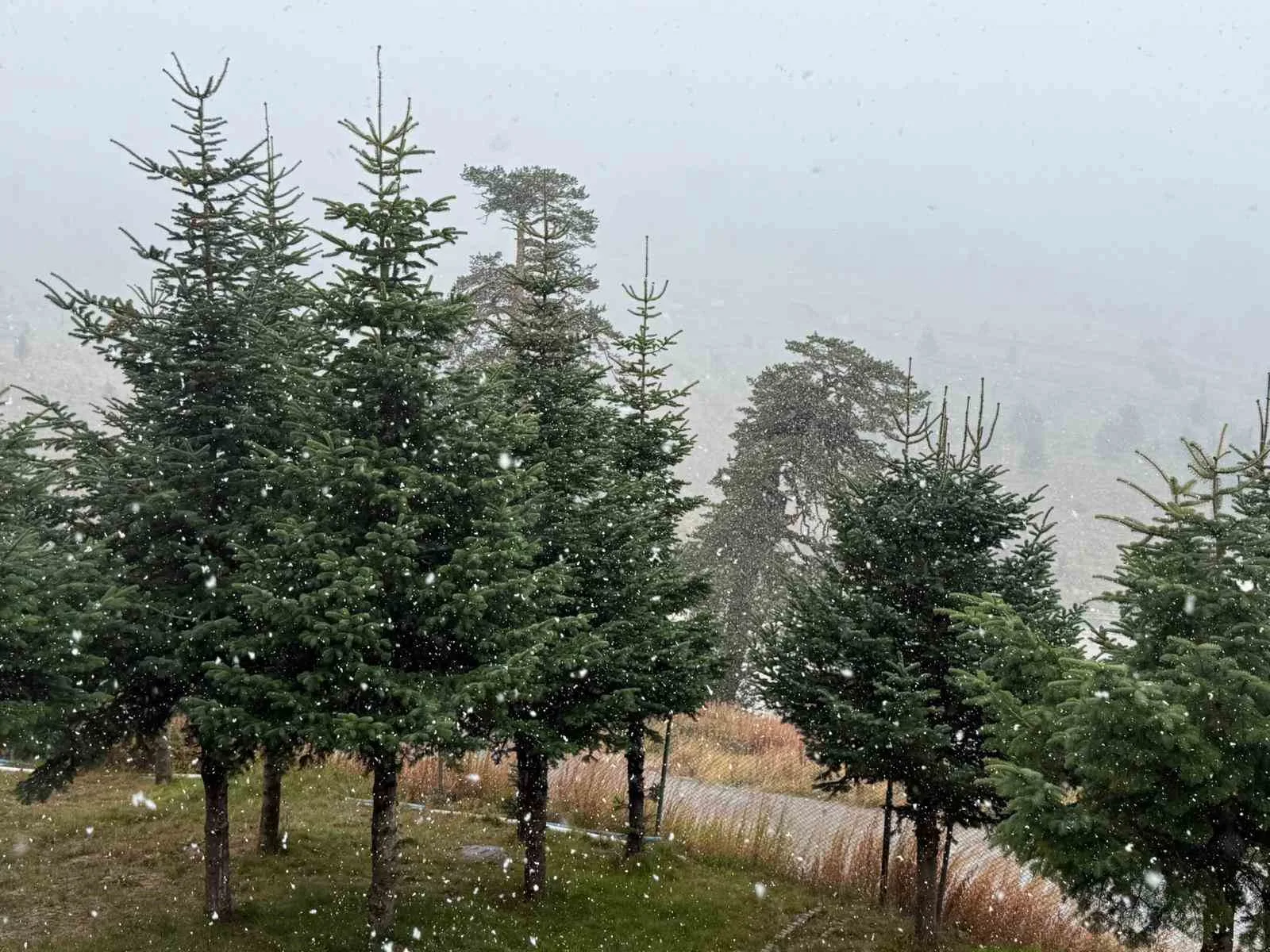 Bolu’nun yüksek kesimlerinde mevsimin ilk kar yağışı etkili oldu. Ekim