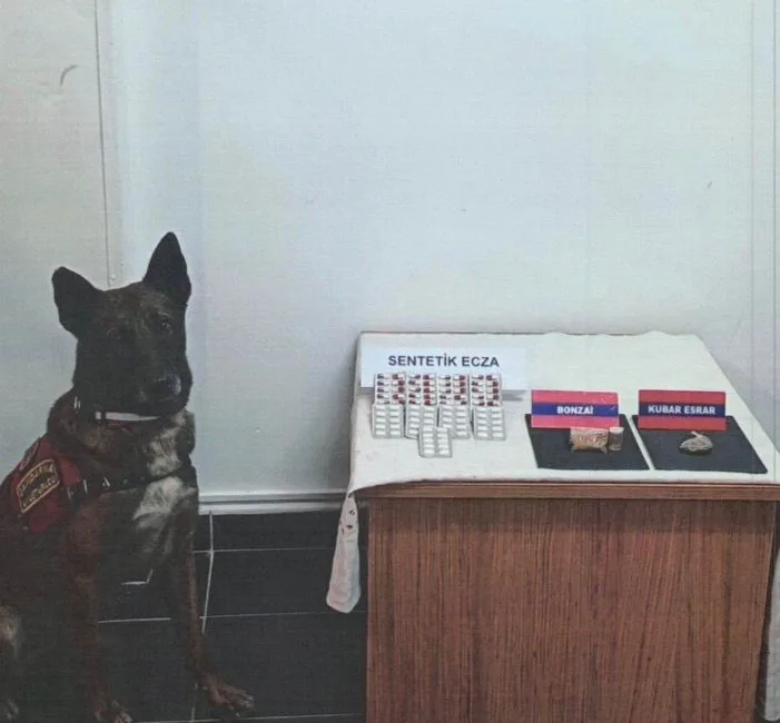 Bolu İl Jandarma Komutanlığı ekiplerince gerçekleştirilen yol kontrol uygulamasında durdurulan