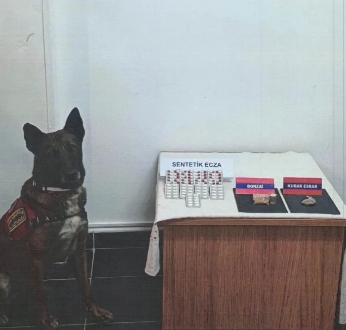 Bolu İl Jandarma Komutanlığı ekiplerince gerçekleştirilen yol kontrol uygulamasında durdurulan