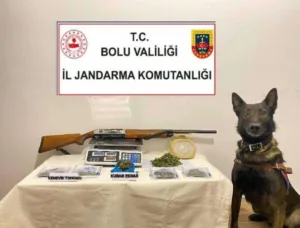 Bolu’da jandarma ekipleri tarafından düzenlenen operasyonda çeşitli uyuşturucu maddeler ve
