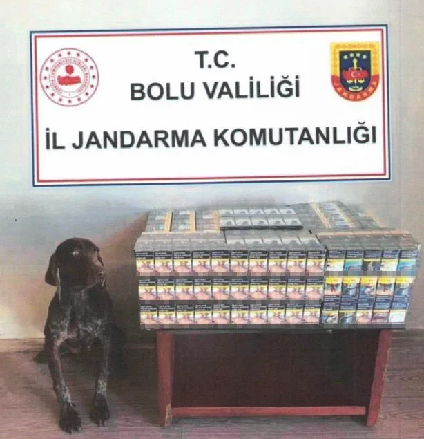 Bolu’da jandarma ekipleri tarafından durdurulan yolcu otobüsünde 430 paket bandrolsüz