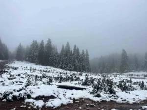 Bolu’nun yüksek kesimlerinde kar yağışı aralıklarla etkisini sürdürüyor. At Yaylası