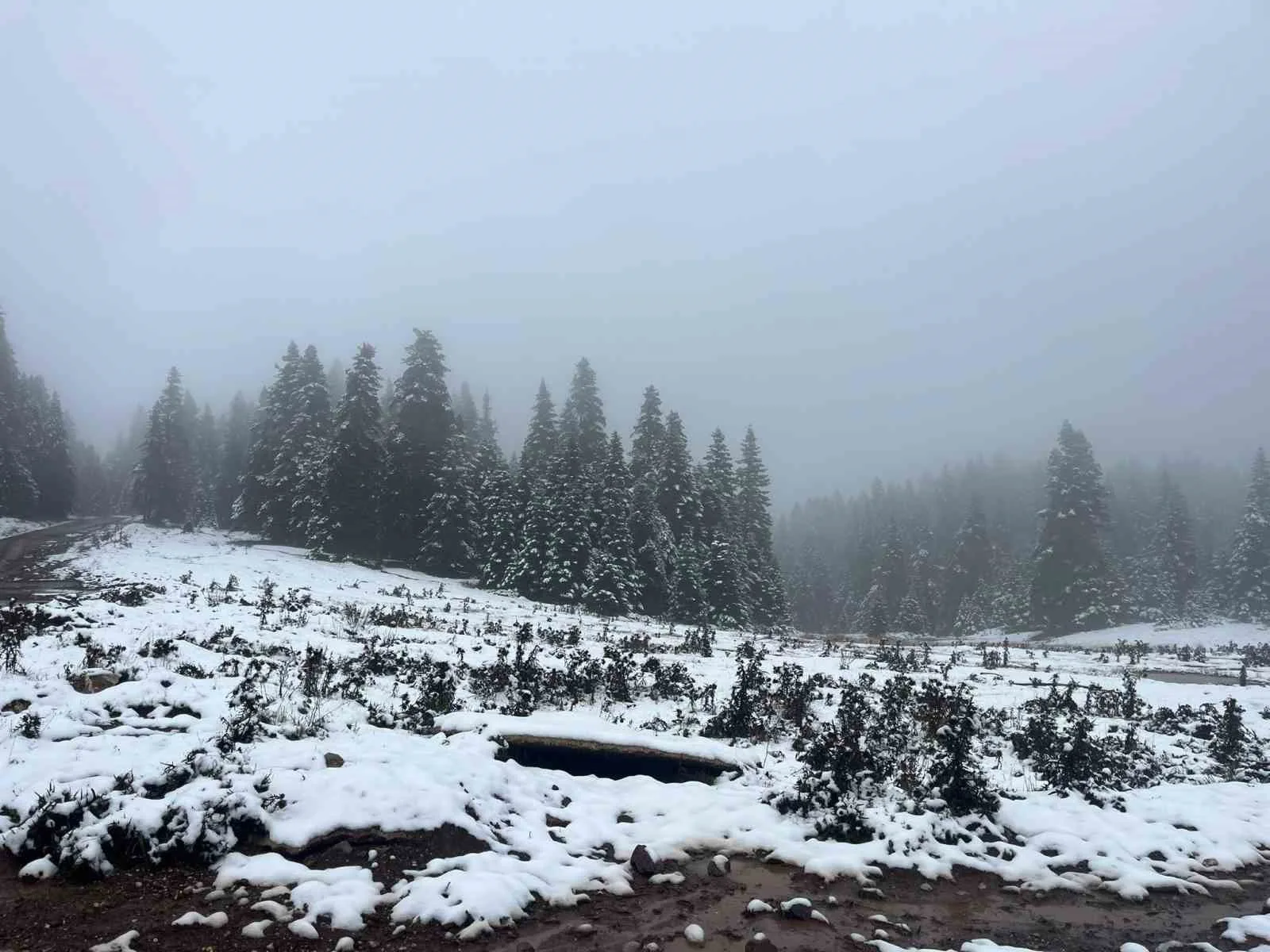 Bolu’nun yüksek kesimlerinde kar yağışı aralıklarla etkisini sürdürüyor. At Yaylası