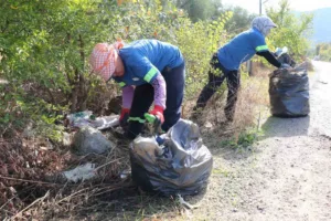 Bozdoğan Belediyesi, ilçe genelinde çevre temizliğini ön planda tutarak cadde